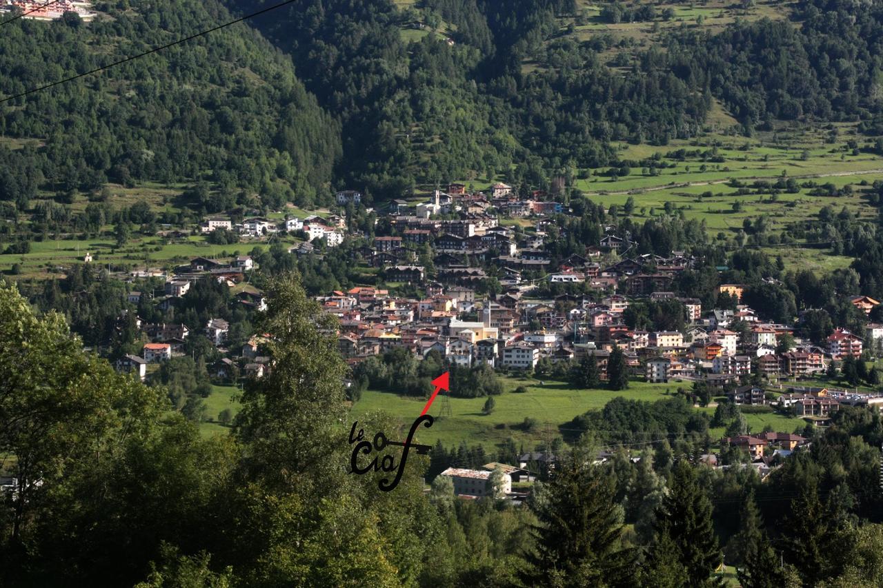 Le Ciaf Temù